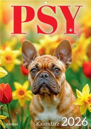 Kalendarz 2026 A4 Wieloplanszowy Psy