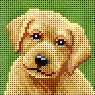 Haft. Moje pierwsze wyszywanie - Labrador