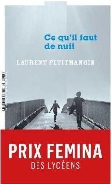 Ce qu'il faut de nuit