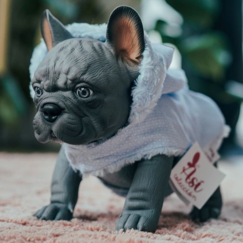 Piesek Nono Buldog Francuski Asi 0617610 Piesek Nono Buldog Francuski Asi 0617610