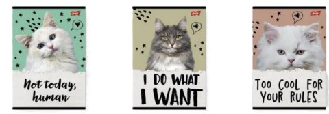Zeszyt A5/32K kratka Caturday(15szt)