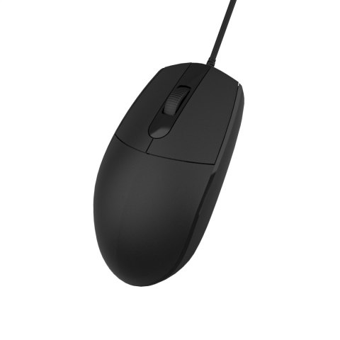 OMEGA MYSZ MOUSE OFFICE BASIC 1000DPI 1,2M USB BLACK [46071]