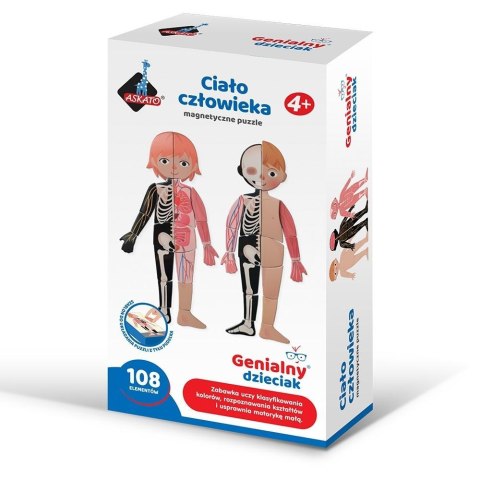 Puzzle magnetyczne ciało człowieka