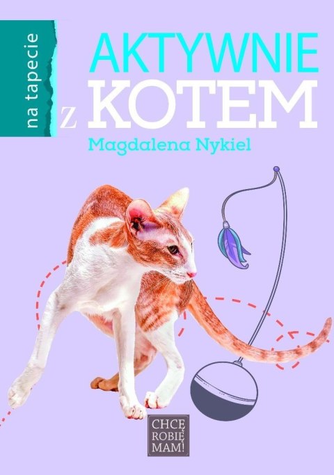 Aktywnie z kotem