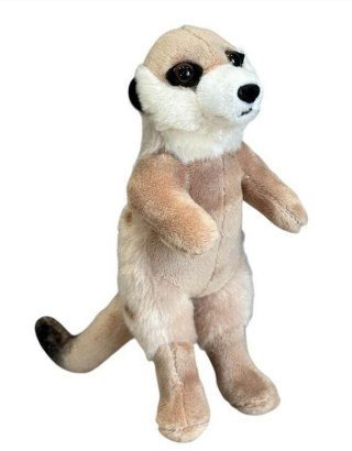 Ziki surykatka 14cm