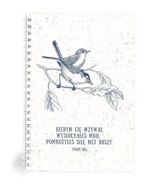 Mój dziennik - Kiedym Cię wzywał - ptaszki