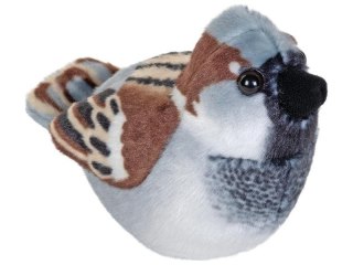 Wróbel