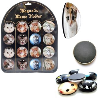 Magnesy koty (16szt)