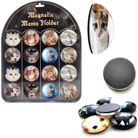 Magnesy koty (16szt)