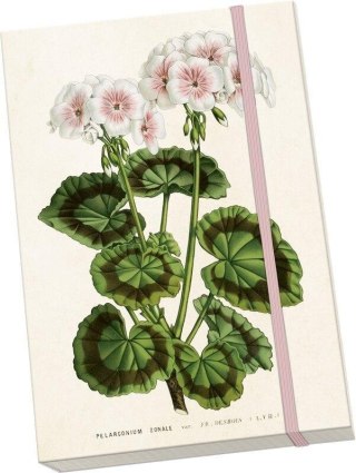 Notatnik ozdobny A5 STNOTE 148 Biała pelargonia