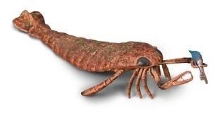 Collecta Jaekelopterus