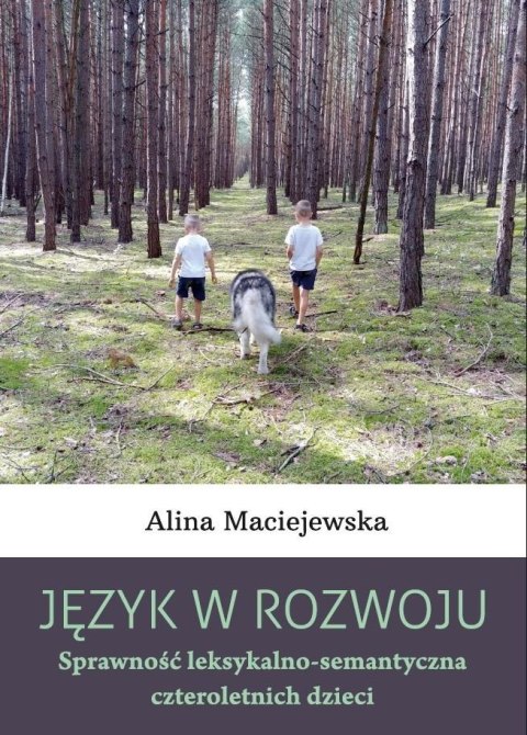 Język w rozwoju. Sprawność leksykalno...