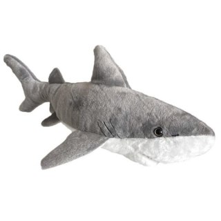 Rekin 54cm