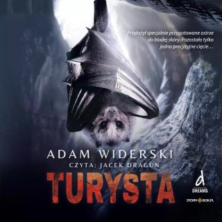 Turysta audiobook