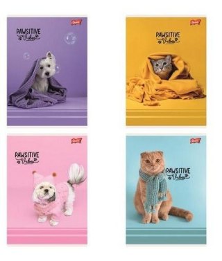 Zeszyt A5/32k kratka Pawsitive (15szt)