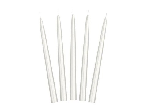 Świeca stożkowa perłowa 24cm 10szt