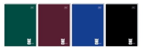 Brulion A4/96k linia One Color (5szt)