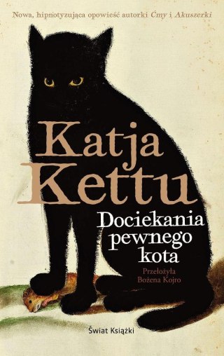 Dociekania pewnego kota