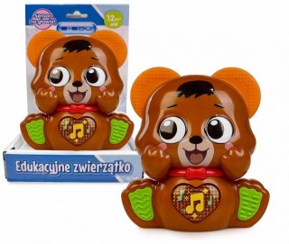 Muzyczny miś e-edu