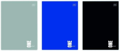 Zeszyt A4/32k linia UV One Color (10szt)