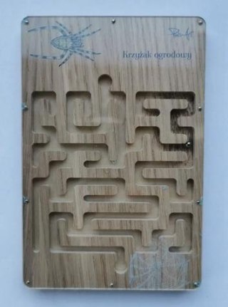 Labirynt przyrodniczy Krzyżak ogrodowy
