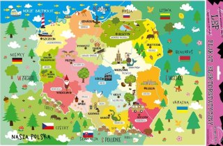 Plakat elektrostatyczny Polska edu