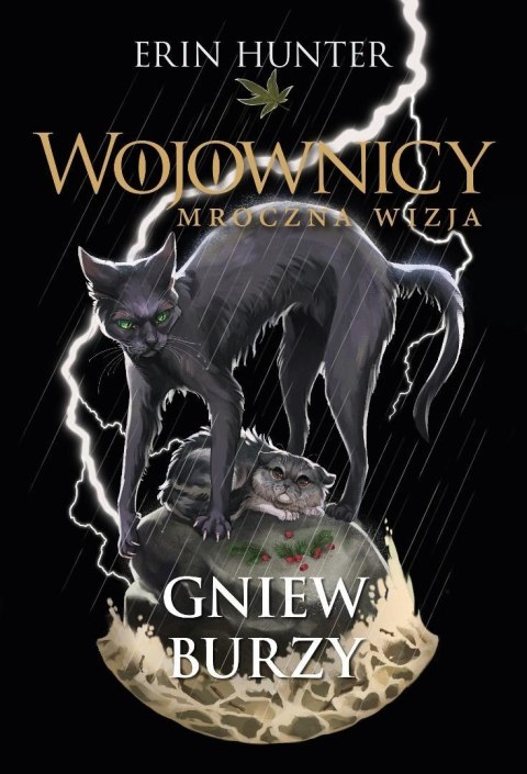 Wojownicy T.6 Gniew burzy