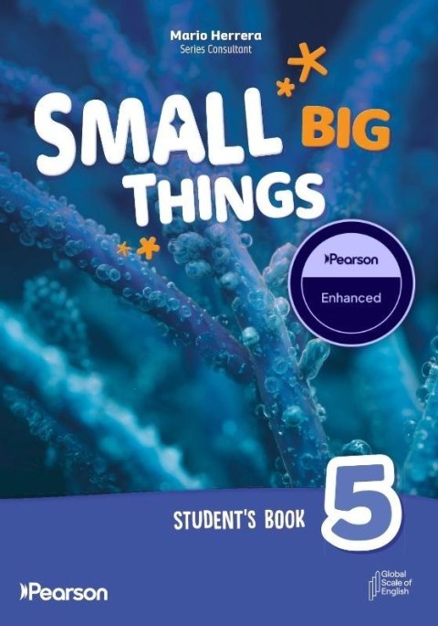 Small Big Things 5 Student's Enhanced Pack