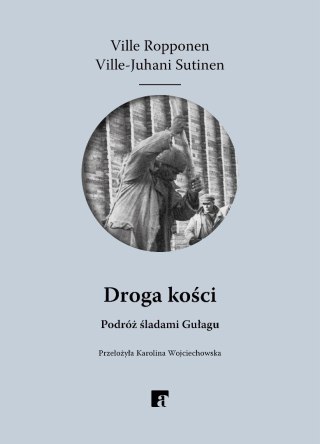 Droga kości