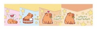 CAPYBARA Teczka A4 na suwak MIX