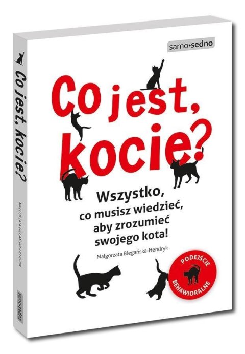 Co jest, kocie?