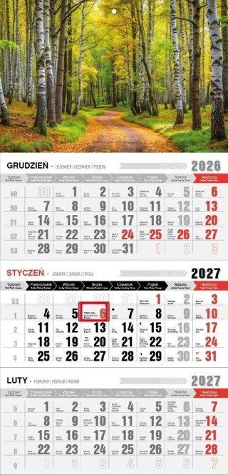 Kalendarz 2027 trójdzielny z magnesem las