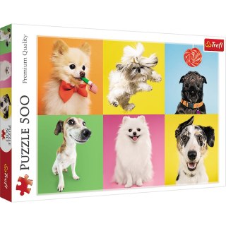Puzzle 500 el. Psy Trefl 37378