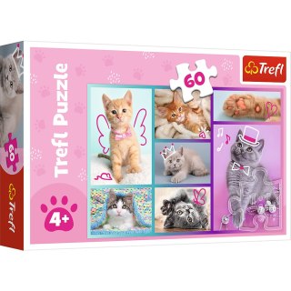 Puzzle - "60"- Słodkie kociaki / Trefl 17373