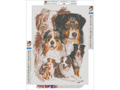 Haft Diamentowy, Obraz, Mozaika Diamentowa Diamond Painting, PIES - OWCZAREK AUSTRALIJSKI 30x40cm Haft Diamentowy, Obraz, Mozaika Diamentowa Diamond Painting, PIES - OWCZAREK AUSTRALIJSKI 30x40cm
