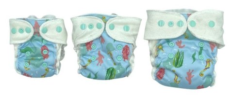 Formowanka z PUL i EVO 8-14kg "Konik morski"