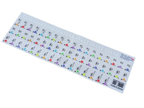 Naklejki Na Klawisze, Nuty Na Keyboard, Pianino, Do Nauki Gry KOLOR Naklejki Na Klawisze, Nuty Na Keyboard, Pianino, Do Nauki Gry KOLOR
