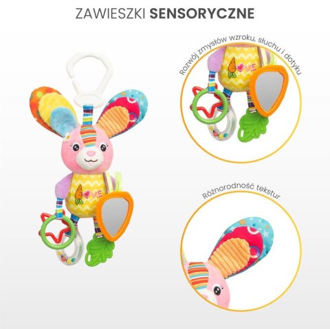 COLORFUL GRZECHOTKA PODRÓŻNA PTASZEK
