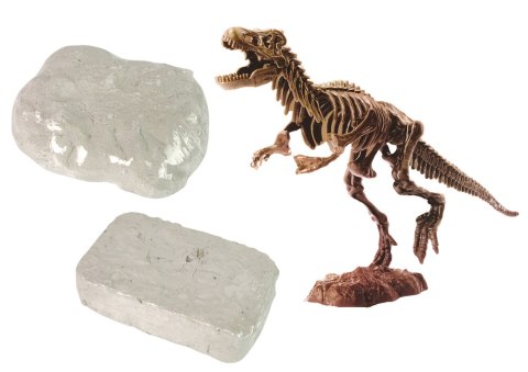 Zestaw Archeologiczny 2w1 Dinozaur Szkielet Tyranozaur Zestaw Archeologiczny 2w1 Dinozaur Szkielet Tyranozaur