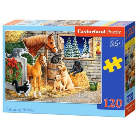 Puzzle 120el. gathering friend Puzzle 120el. gathering friend