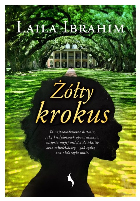Żółty krokus Żółty krokus