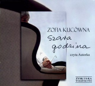 Szara godzina. Audiobook