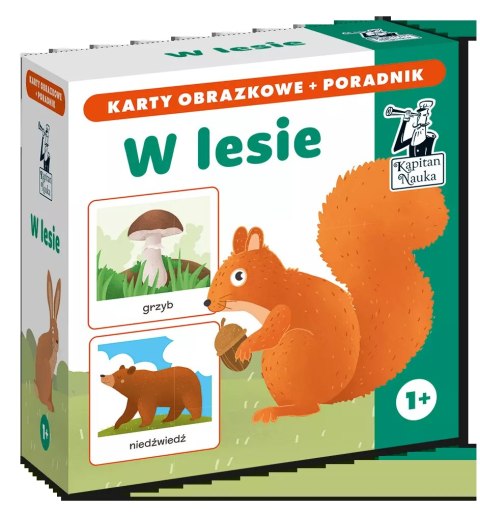 W lesie. Karty obrazkowe + poradnik W lesie. Karty obrazkowe + poradnik