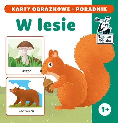 W lesie. Karty obrazkowe + poradnik W lesie. Karty obrazkowe + poradnik