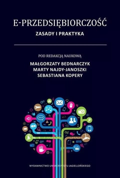 E-przedsiębiorczość. Zasady i praktyka E-przedsiębiorczość. Zasady i praktyka