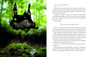 Mądra Wasylisa i inne baśnie o odważnych młodych kobietach