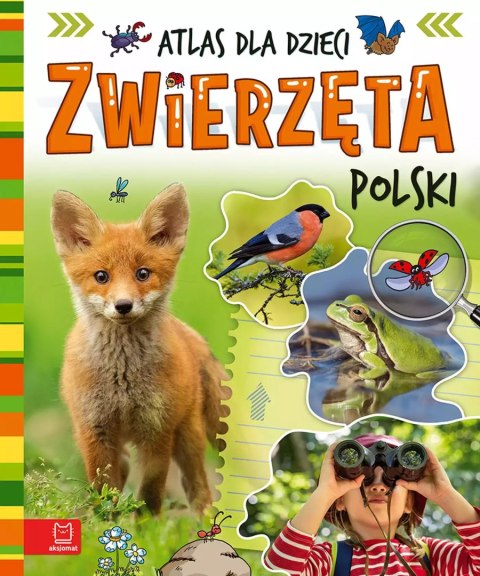 Zwierzęta Polski. Atlas dla dzieci Zwierzęta Polski. Atlas dla dzieci
