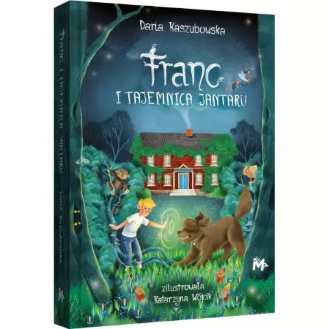 Franc i tajemnica jantaru /Borkowie i kaszubskie przygody część 1 Franc i tajemnica jantaru /Borkowie i kaszubskie przygody część 1