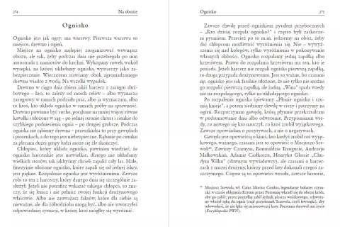 Obóz drużyny harcerzy w XXI wieku