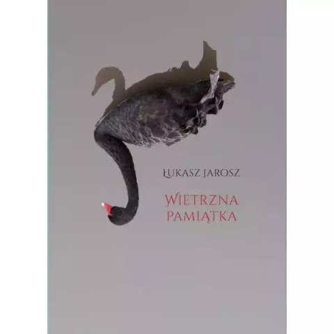 Wietrzna pamiątka Wietrzna pamiątka
